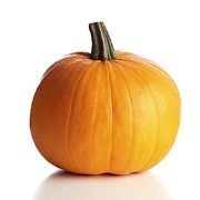 Pumpkin #1 Photograph by Science Photo Library