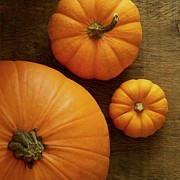 Pumpkins #1 Photograph by Science Photo Library
