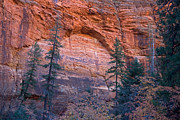 Red Cliff Arch #1 Photograph by Fred Stearns