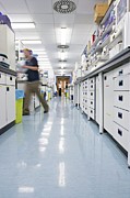 Research Laboratory #1 Photograph by Science Photo Library