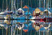 Sailboats #1 Photograph by Richard and Ellen Thane