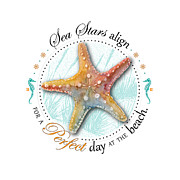 Sea stars align for a perfect day at the beach #2 Digital Art by Amy Kirkpatrick