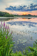 Shad Sunset #1 Photograph by Bryan Bzdula
