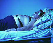 Sleep Disorder Research #1 Photograph by Science Photo Library