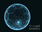 Soccer Ball X-ray #2 Photograph by Eurelios