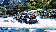 Summer fun Photograph by Ron Roberts