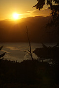 The Mighty Columbia River #1 Photograph by Loni Collins