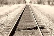 The Way Home #1 Photograph by Bonnie Bruno