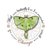 To accept change with grace #1 Painting by Amy Kirkpatrick To accept change with grace #1 Painting by Amy Kirkpatrick