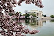 USA, District Of Columbia, Washington #1 Photograph by Hollice Looney