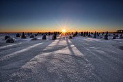 Waking Of The Giant #1 Photograph by Jakub Sisak