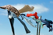 Washing Hanging Out To Dry #1 Photograph by Science Photo Library