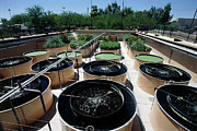 Waste Water Purification Plant #1 Photograph by Science Photo Library