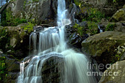 Waterfall #1 Photograph by Mark Newman