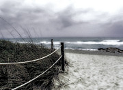 Winter Day at the Beach #2 Photograph by Julie Palencia