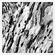 Wood #1 Photograph by Raimond Klavins