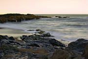 Yachats Oregon #1 Photograph by Loni Collins