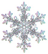 Snowflake #10 Photograph by Science Photo Library