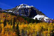 Fall #106 Photograph by Mark Smith