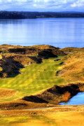10th Hole at Chambers Bay Photograph by David Patterson