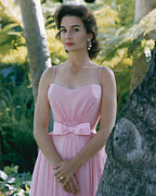Jean Simmons #11 Photograph by Silver Screen