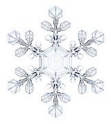 Snowflake #117 Photograph by Science Photo Library