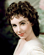 Elizabeth Taylor #120 Photograph by Silver Screen