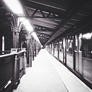 125th Photograph by Natasha Marco