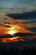 Landscape #13 Photograph by Loni Collins