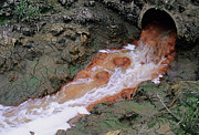Water Pollution #13 Photograph by Science Photo Library