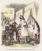 1842 Surgeon Doctors As Sharks Photograph by Science Photo Library