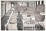 1858 Appleton Cabinet Ichnology Hitchcock Photograph by Science Photo Library