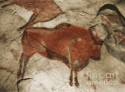 Altamira Cave Paintings #4 Photograph by Photo Researchers Altamira Cave Paintings #4 Photograph by Photo Researchers
