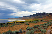 Antelope Island Photograph by Jemmy Archer Antelope Island Photograph by Jemmy Archer