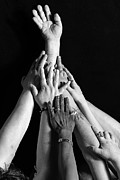 Diversity And Unity #2 Photograph by Science Photo Library