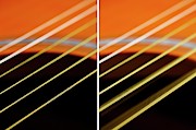 Guitar Strings At Rest And Vibrating #2 Photograph by Science Photo Library