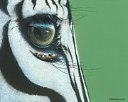 Mirror to the Soul Painting by Mike Brown