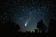 Optical Image Of Comet Hale-bopp #2 Photograph by Science Photo Library