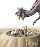 Oviraptor And Nest #2 Photograph by Spencer Sutton