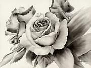 Rose Bouquet Painting by Hailey E Herrera