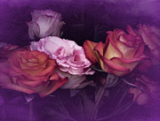 Rose Collection #2 Photograph by Richard Cummings