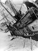Shackletons Endurance Trapped In Pack #2 Photograph by Science Source