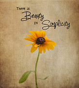 The Beauty of Simplicity Photograph by Kim Hojnacki