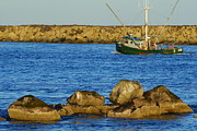 South Jetty Newport Oregon #2 Photograph by Loni Collins