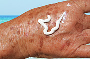 Sun Protection #2 Photograph by Science Photo Library