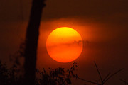Sunset #2 Photograph by SAURAVphoto Online Store