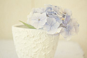 Sweet Memories #2 Photograph by Bonnie Bruno