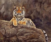 Tiger #3 Painting by David Stribbling Tiger #3 Painting by David Stribbling