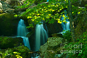 Waterfall #3 Photograph by Mark Newman