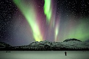 Aurora Borealis In Alaska #20 Photograph by Science Photo Library